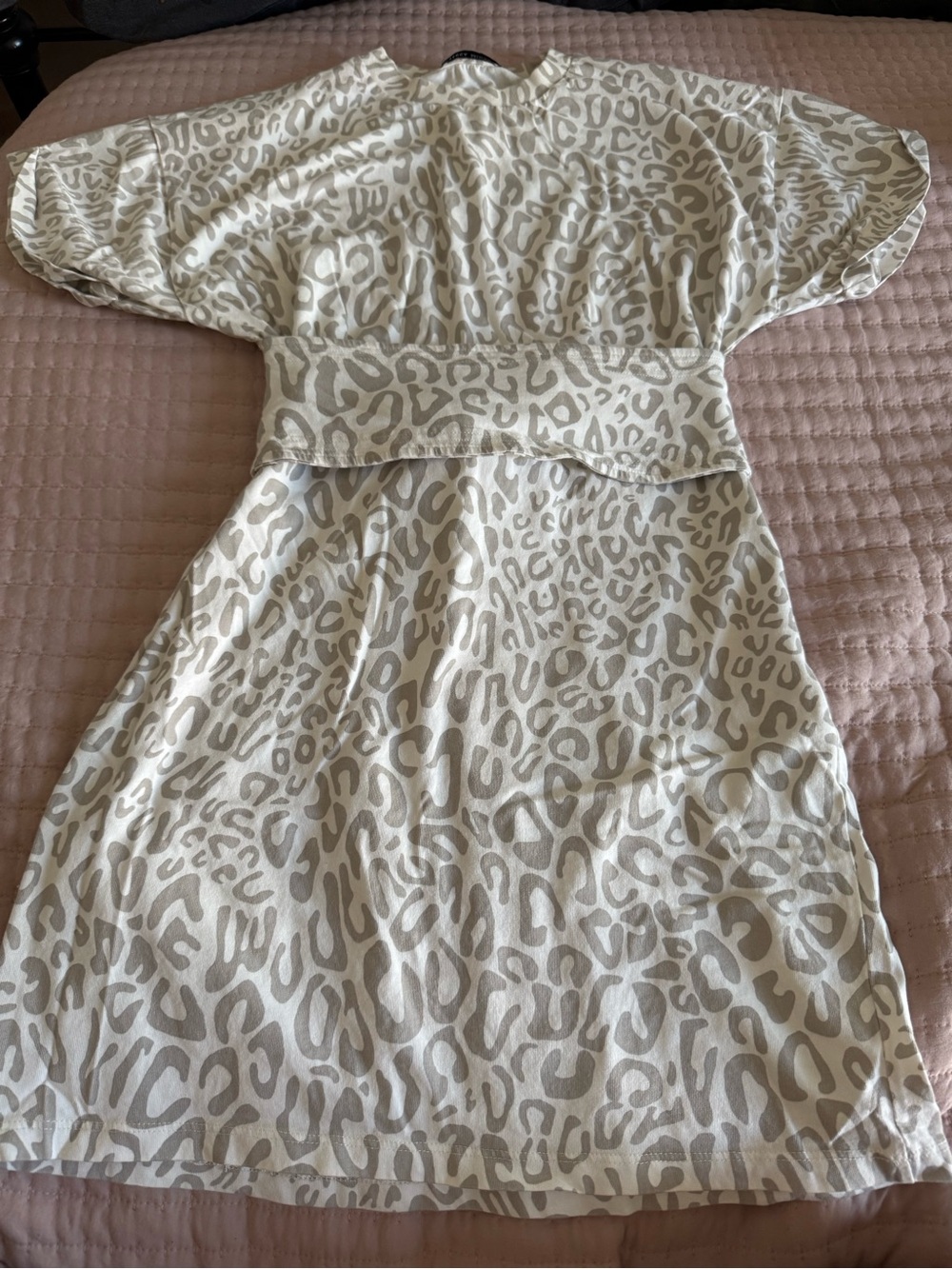 Rebecca Minkoff Cream and Taupe Leopard Print Dress
